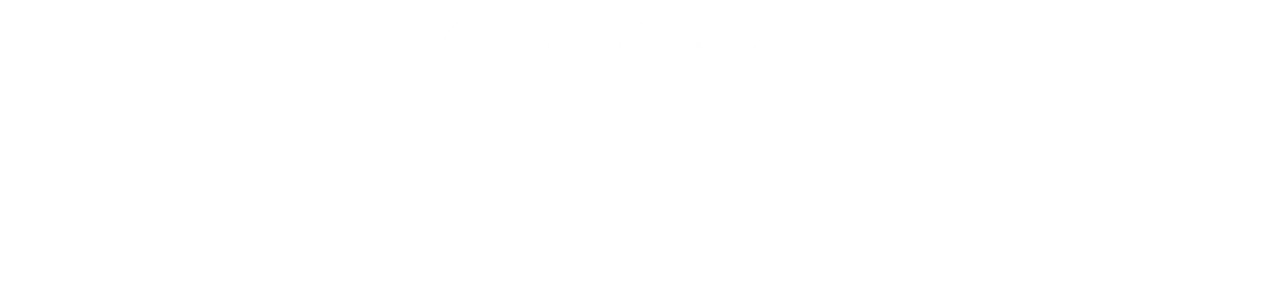 Optimusdf_logo
